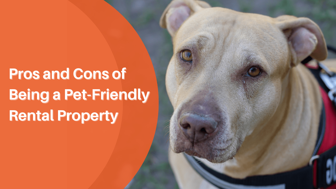 Pros and Cons of Being a Pet-Friendly Rental Property - Article Banner